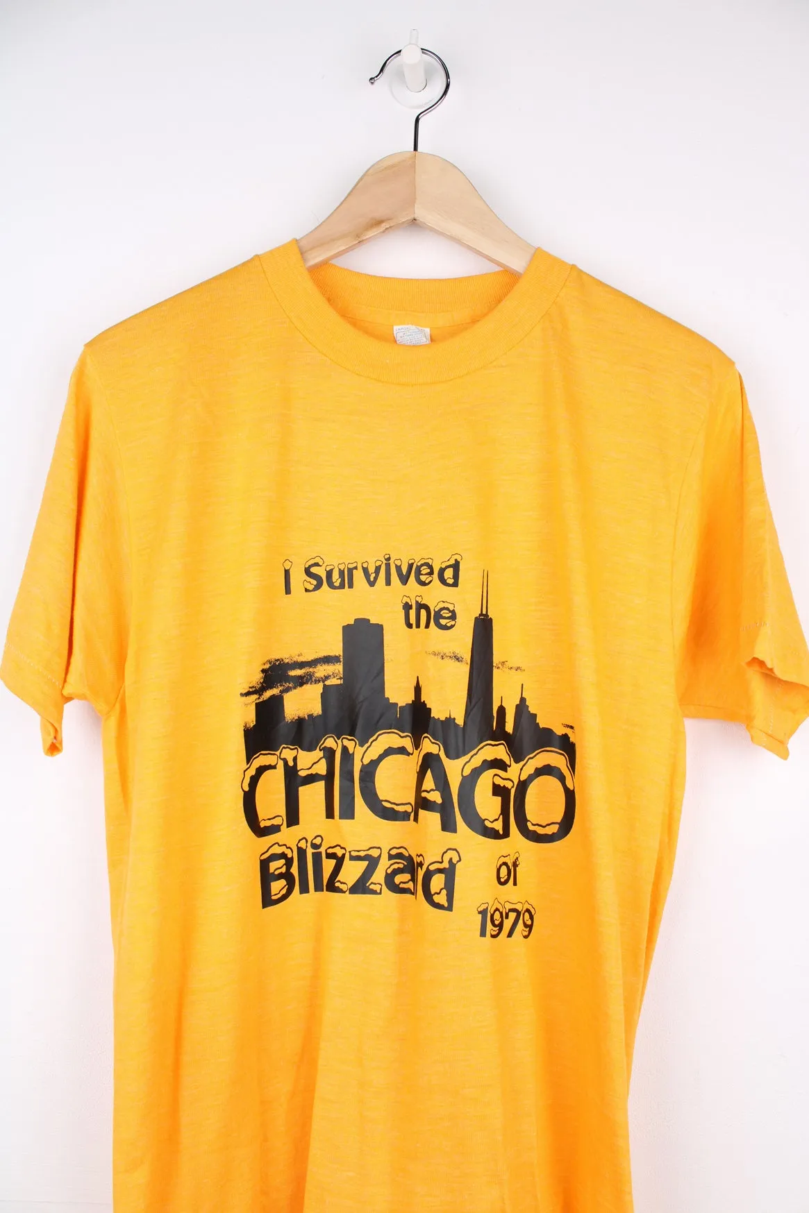 Chicago Blizzard Graphic T-Shirt