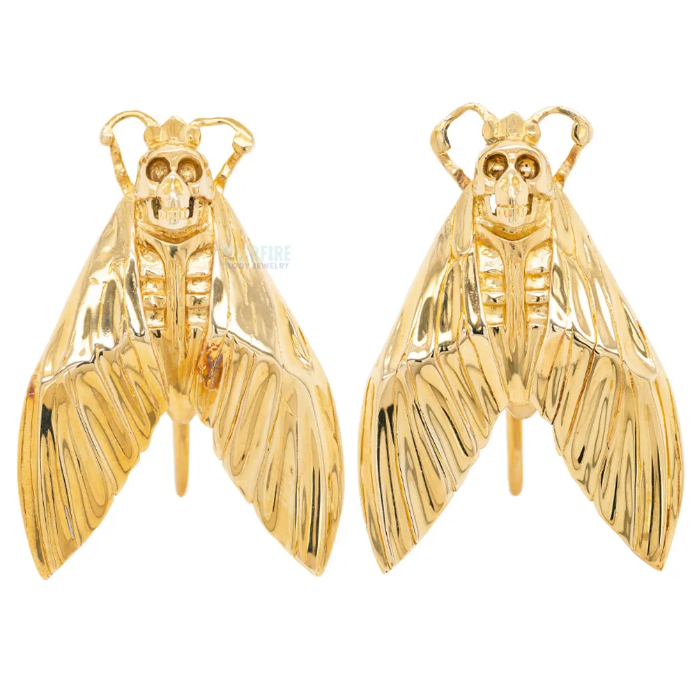 Death's Head Moth Weights