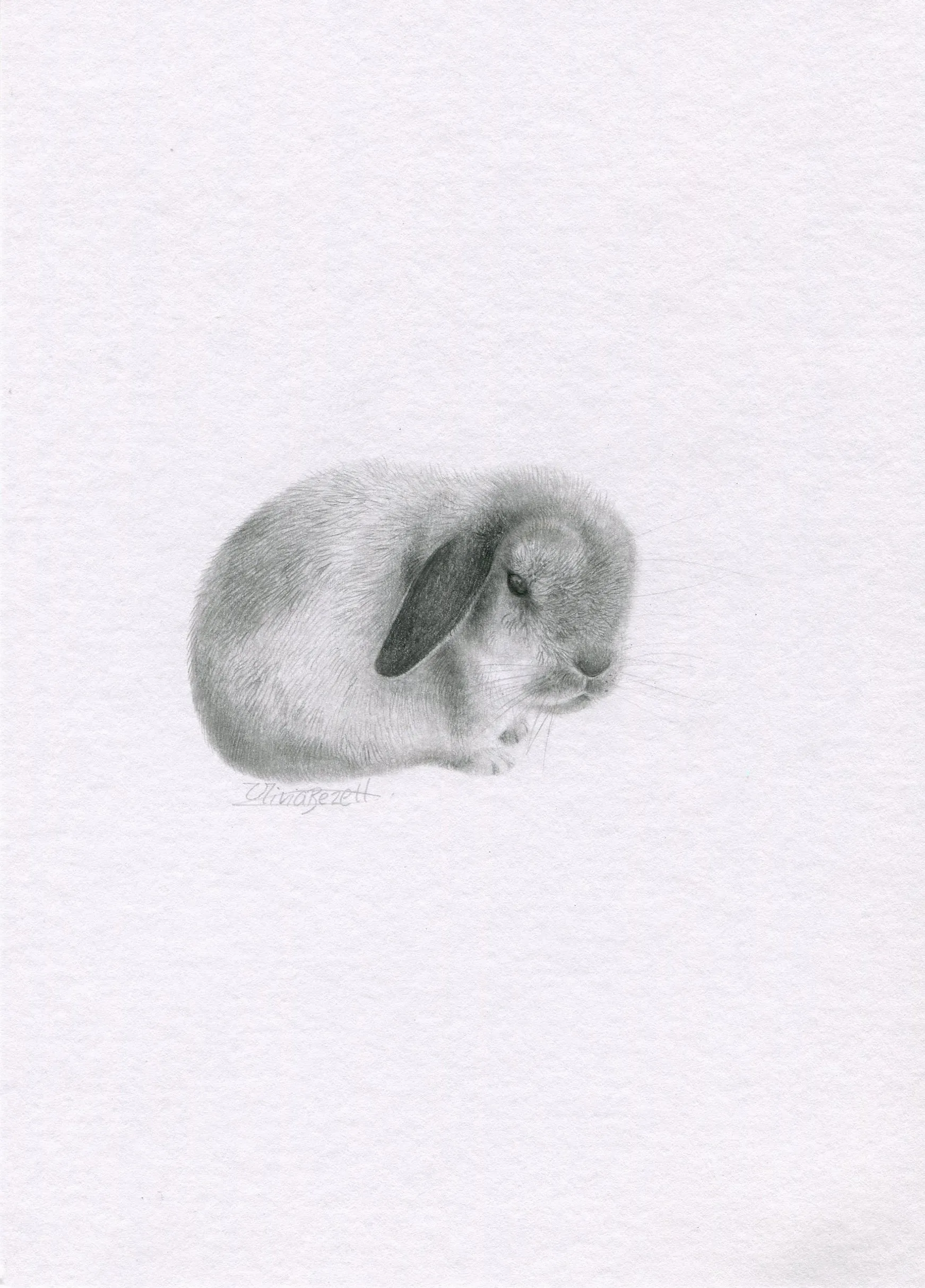 Donation piece - Mini one-off original Graphite Bun 'Arthur'