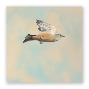 Flycatcher 10x10 Wall Panel