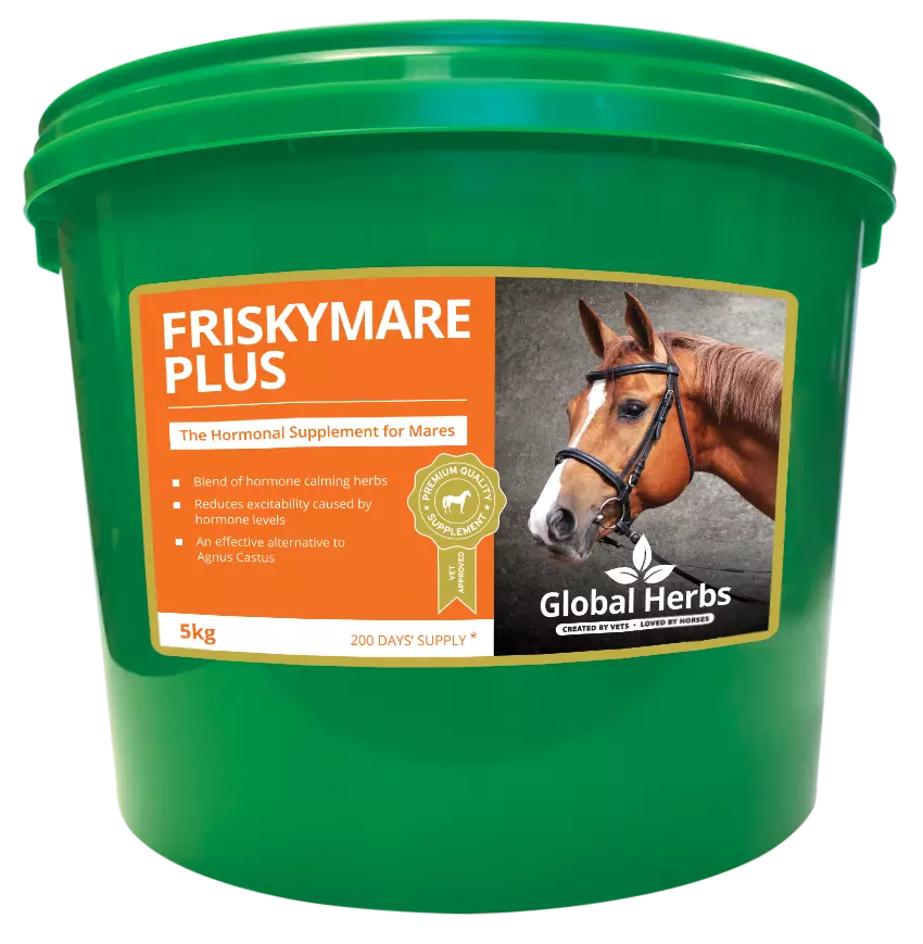 Global Herbs Frisky Mare Plus