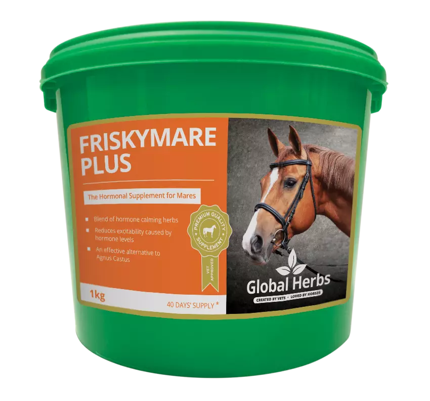 Global Herbs Frisky Mare Plus