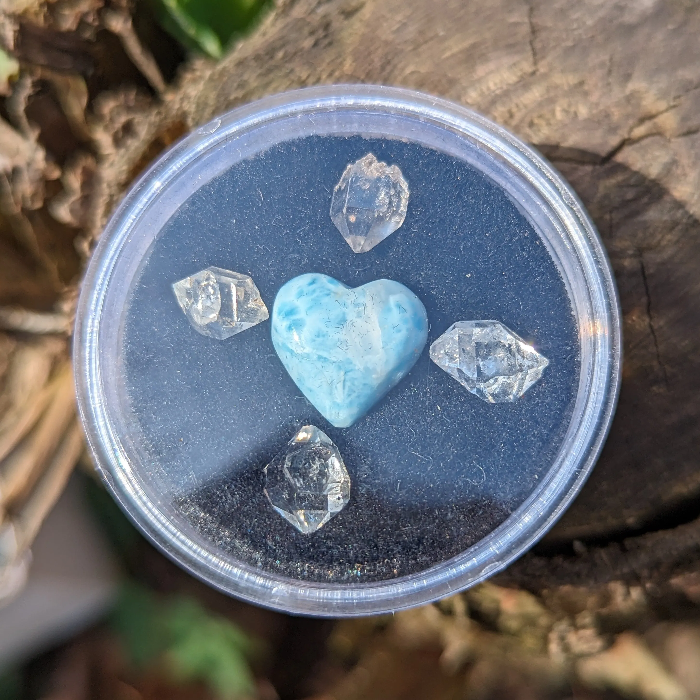 Larimar and Herkimer Diamond Natural Crystal set in Collectors Box~ Ethically Sourced in New York & Dominican Republic