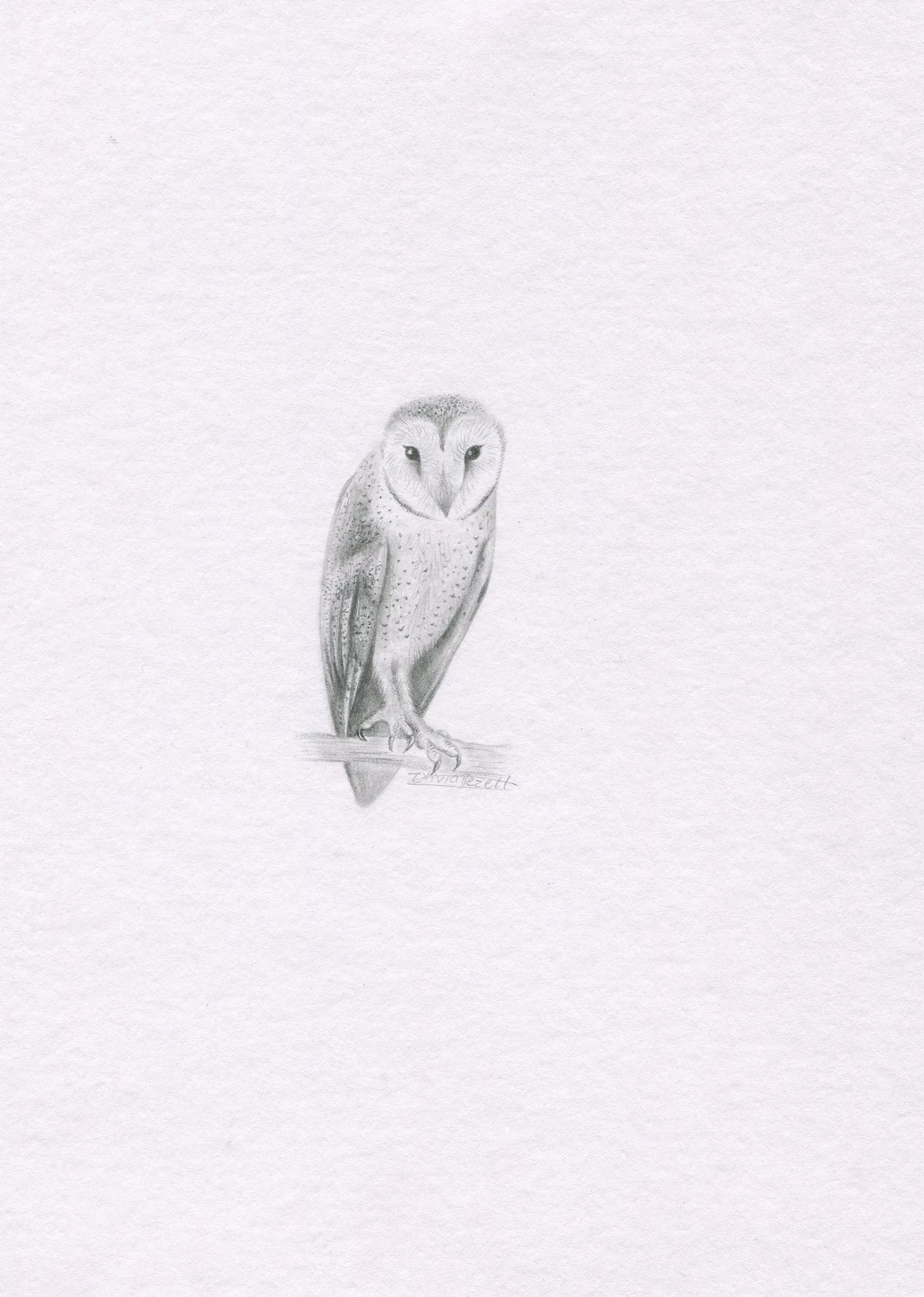 Mini one-off original 'Barn owl'