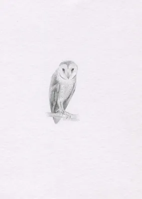 Mini one-off original 'Barn owl'