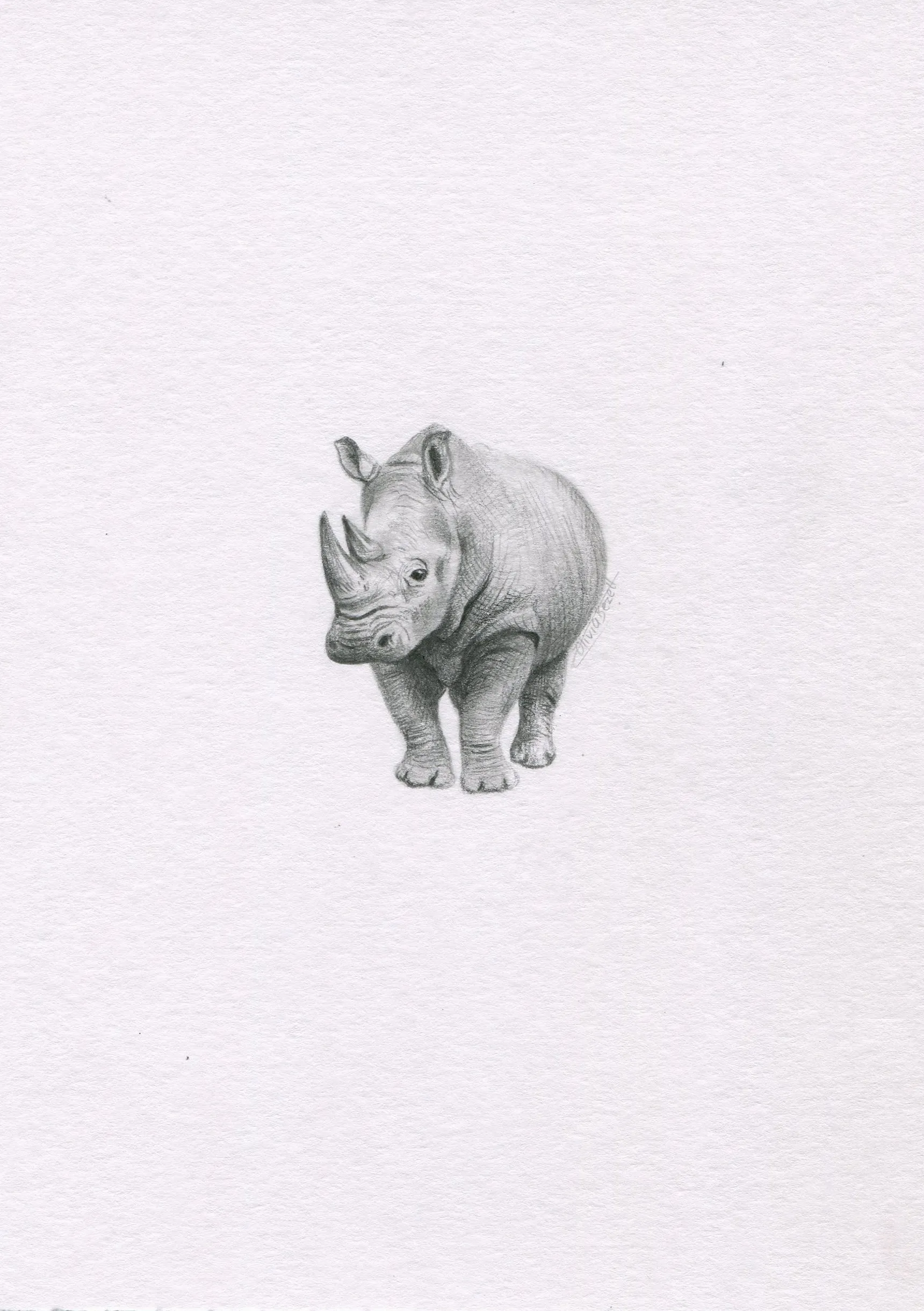 Mini one-off original 'Rhino'