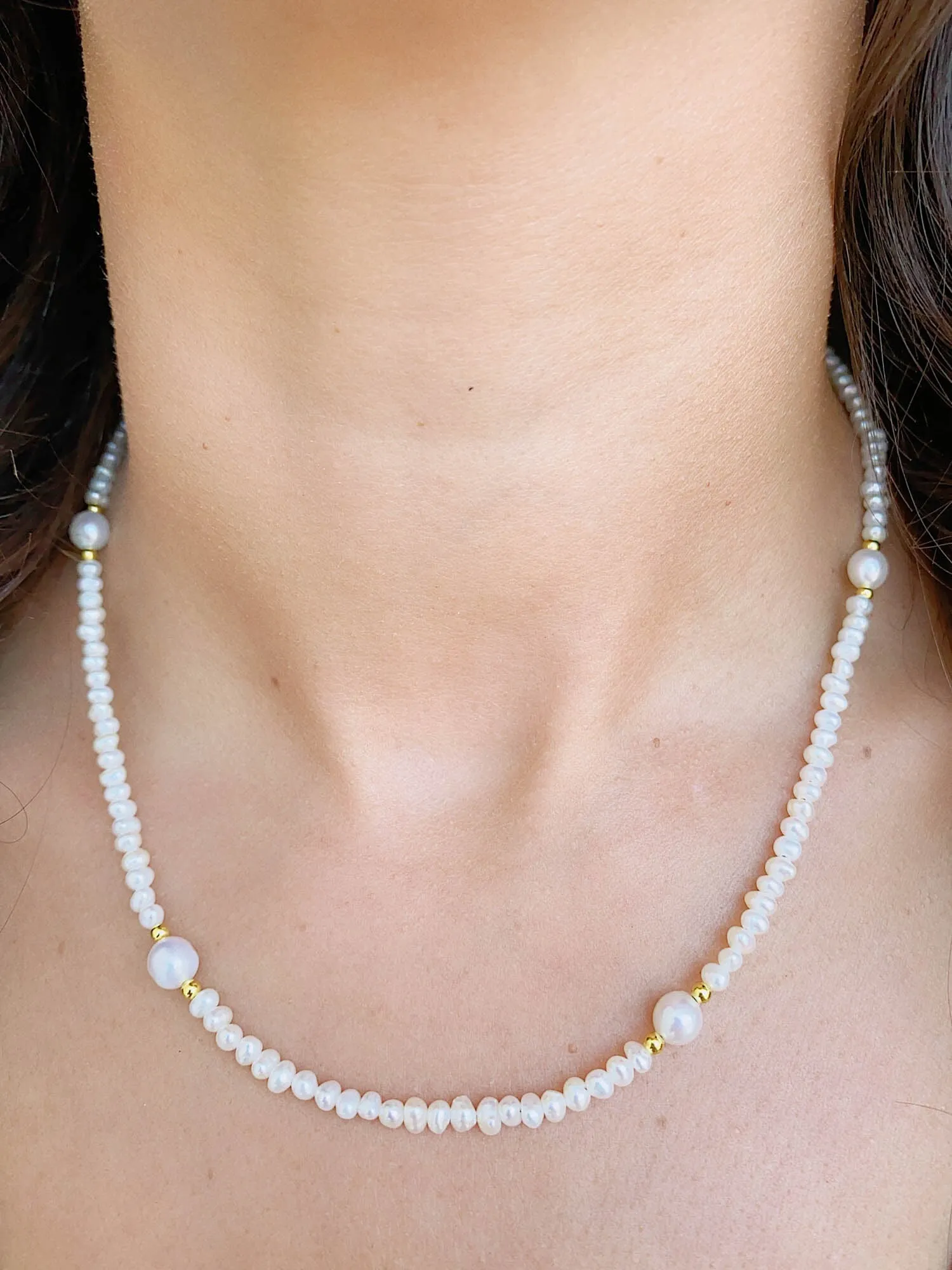 Mini Pearl with Gold Accent Necklace Choker with 14K Gold Filled Clasp and Extension P1036