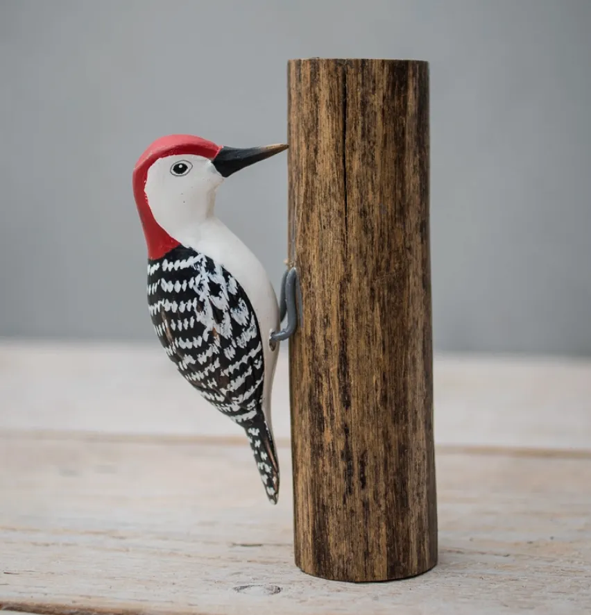 Mini Red Bellied Woodpecker