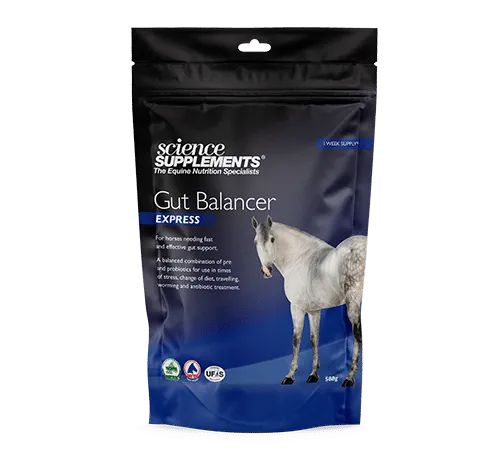 Science Supplements Gut Balancer Express Pouch | Ingatestone Saddlery